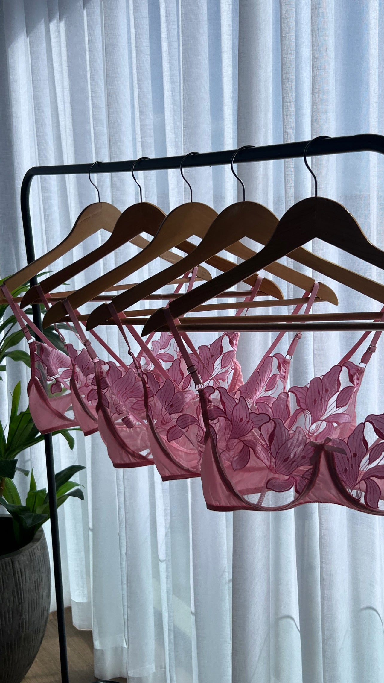 Blush Set
